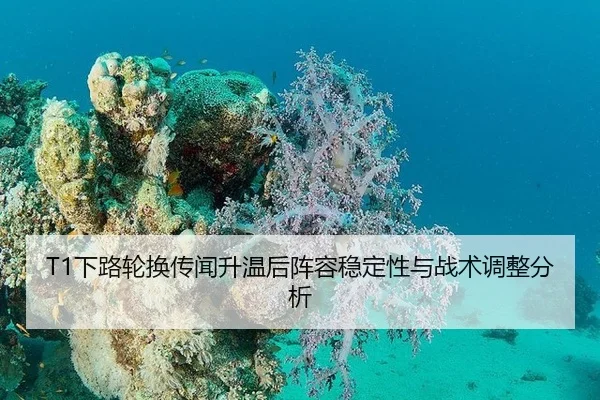 T1下路轮换传闻升温后阵容稳定性与战术调整分析